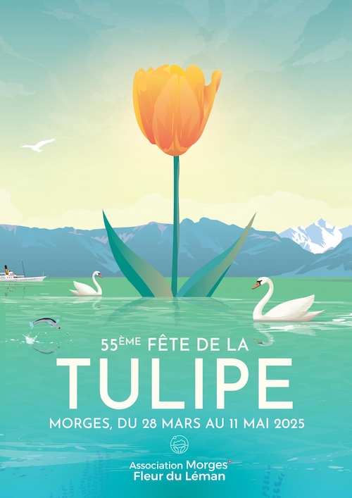 tulipsmall