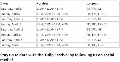 tulip tour hours