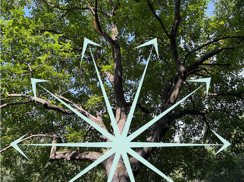 Nicole Antonietti career change